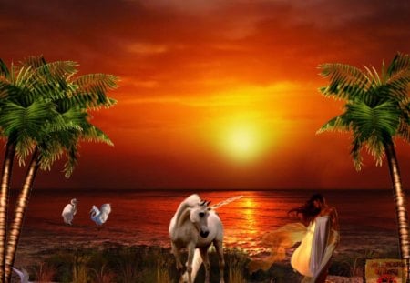 Magical Sunset - women, tropics, beaches, palmtrees, sunsets, unicorns