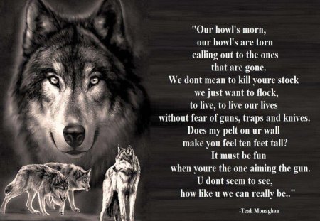 Our Howl's Mourn - animal, wolf, abstract, fantasy