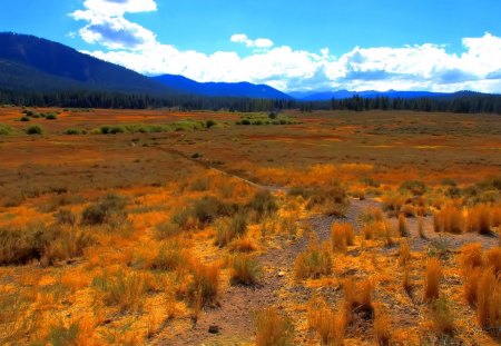 the prairie to the mountain range - autumn, clouds, prairie, mountains, grass