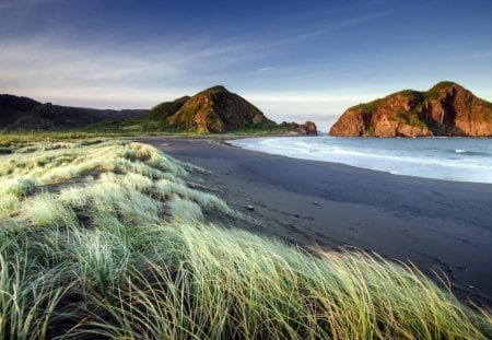 beautiful grassy beach - rocks, beach, sea, black sand, grass