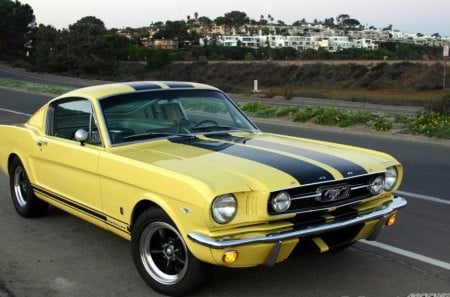 1966 Ford Mustang - black stripes, 66, yellow, classic