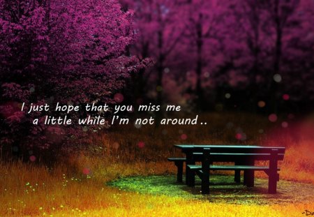 I hope you miss me - nature, miss you, romantic, bench, forest, quote, pink, sweet