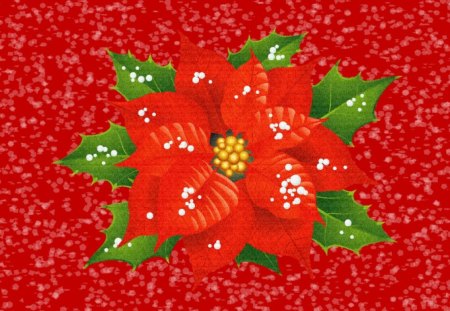 The Christmas Flower - christmas, pretty, flowers, holidays