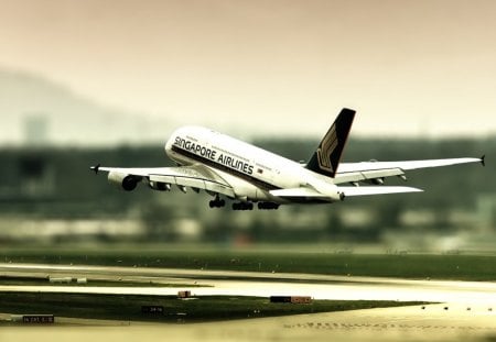 Singapore Airlines, Airbus A380 - singapore, airbus, a380, airlines