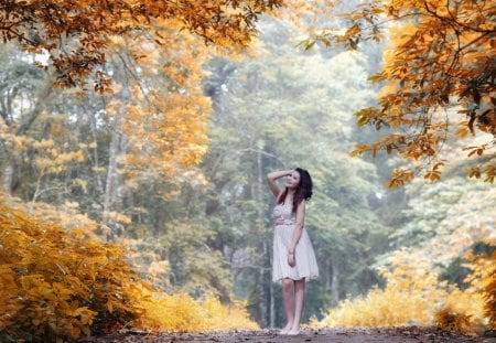 Beautiful Girl in the Forest - nature, autumn, model, forest, leaves