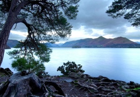 PEACEFUL VIEW - lake, landscape, tree, peaceful, mountain