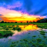 SWAMP at DUSK