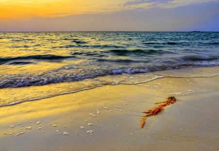 PEACEFUL EVENING - clouds, dust, foam, beach, seaweed, waves, sea, sand