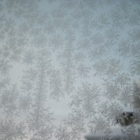 Winter frost on my window 