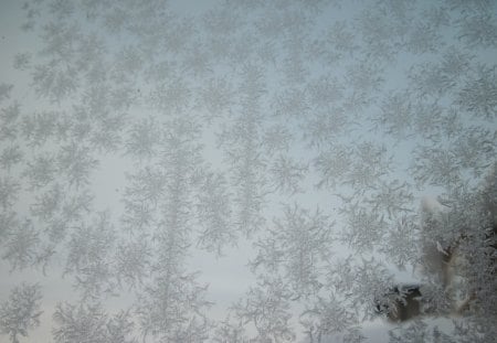 Winter frost on my window  - white, glass, photography, frost, winter