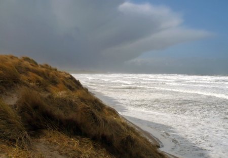 Seahouses - sky, beach, winter, seahouses, sea, grass