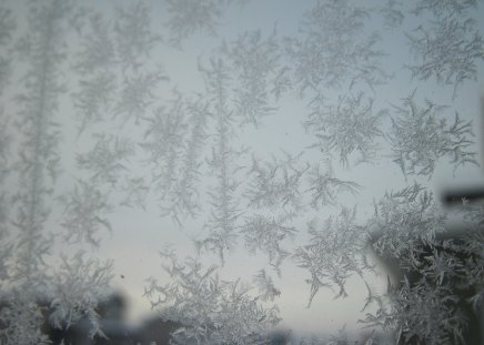 Icy Crystal window - white, ice, crystal, glass, photography, winter