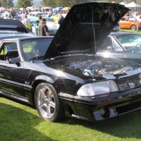 1979 Ford Mustang 5.0