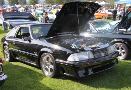 1979 Ford Mustang 5.0 - black, Ford, tires, headlights, engine, photography