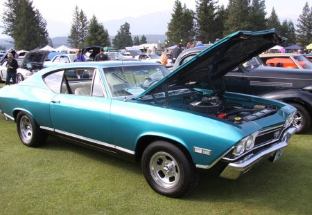 1968 Chevrolet Chevelle - tires, headlights, blue, photography, Chevrolet, nickel, black, white, engine, seats