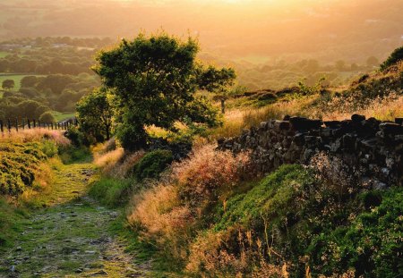 old trail down to the valley - landscape, valley, grass, farms, fence, trail, trees, nature, stone