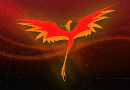 phoenix - drako, wallpaper, phoenix, draconian