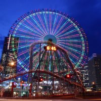 new york fortune wheel