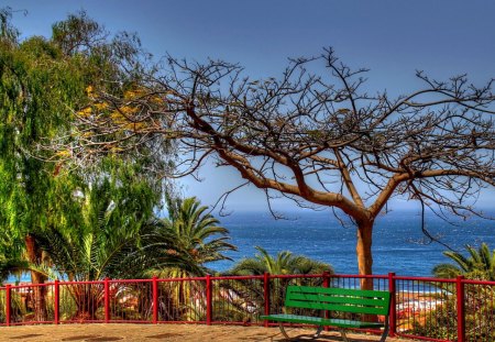 SEA VIEW - palm trees, dry tree, sea, a shop