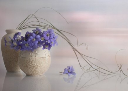 * Tenderness * - purple, soft, petals, delicate, composition, tenderness, flowers, vase