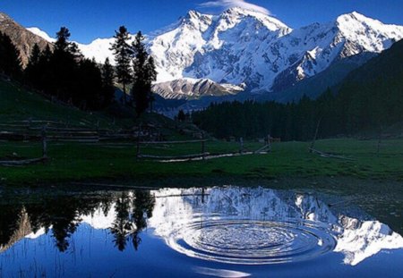 Pakistan-Fairy-Meadows - nature, beauty, amazing, fairy, pakistan