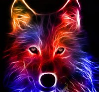 à²Œ.Shining Fox.à²Œ