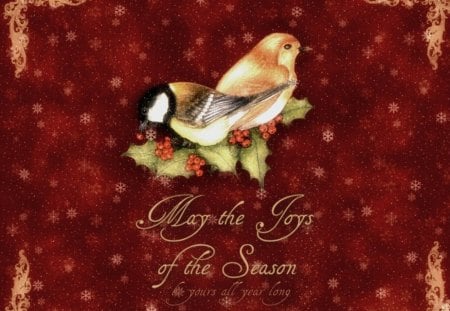 Merry Christmas! - snow, joy, winter, green, mistletoe, bird, christmas