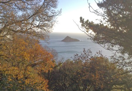 Thatcher Rock from Manor Woods - trees, water, nature, sea, ocean, rocks