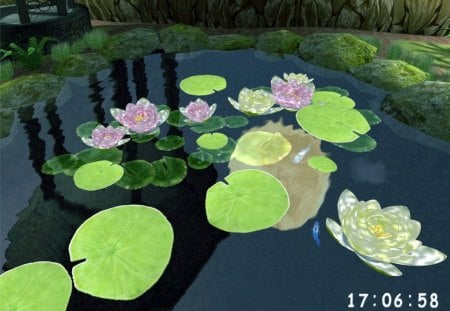 ಌ.Splendor of Chinese Pond #3.ಌ - pretty, artworks, lilies, amazing, splendor, reflection, gorgerous, leaves, flowers, magnificent, transparent, splendidly, other, lotus, beautiful, splendor of chinese pond, pond, chinese, torch, lovely, love, sweet, shadow, stones, wonderful, nature, cute, adorable, bridge, rocks, arts