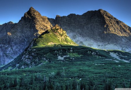 Tatras Mountains - tatras, stone, snow, rock, slope, forest, mountain, tree, carpathians, sky