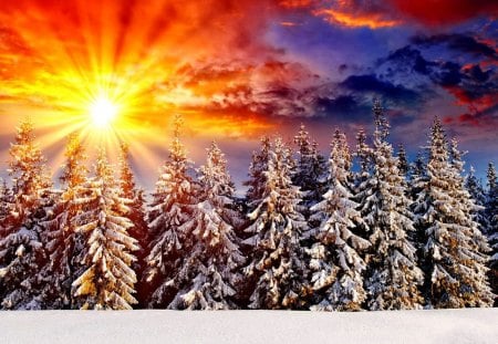 Winter sunset - pretty, sundown, snow, sunrise, reflection, mountain, red, golden, nice, sky, clouds, covered, trees, winter, beautiful, slope, lovely, orange, dazzling, glow, nature, sunset, rays