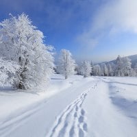 Snow Steps