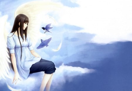 Kara no shoujo - shoujo, kara, birds, clouds