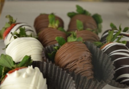 Chocolate coated strawberries - strawberries, disneyland, chocolate, photography