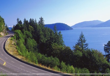 Roads - roads, lakes, tree, sky