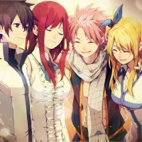 Fairy Tail-The Team