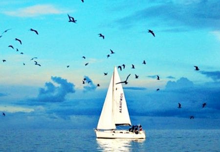 Romantic escape for two - love, sky, couple, blue, sea, boat, birds