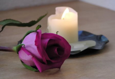 Candles and Rose - colorful, rose, roses, candles