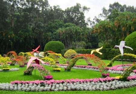 Beautiful Garden - flowers, grasses, beautiful, garden