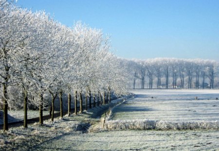 *** Winter wonderland *** - ice, sky, trees, winter, road, nature, cold, frost, snow, blue, green, grass