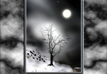 Winter Night Nature - moon, dark, trees, nature, snow