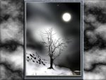 Winter Night Nature