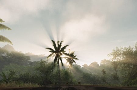 Crysis - shadows, green, lights, sun