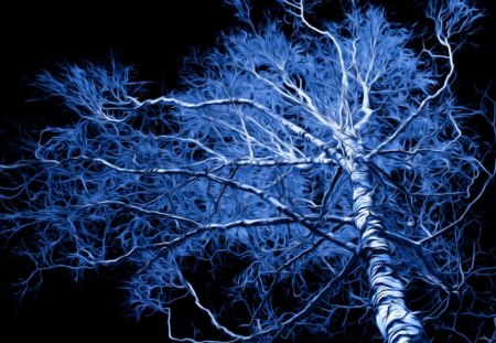 Fairytails spelltree - spelltree, fairytails, blue, night, tree