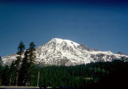 Mt. Rainier - washington, nature, mountain, mount rainier