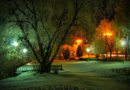 Park at night - winter, nature, park, lights