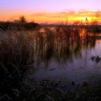 SWAMP at SUNSET