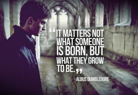 Harry Potter - harry, potter, movie, quote