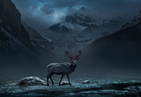 Deer - animal, romantically, deer, apocalyptic