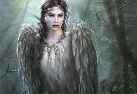 Bird Woman - bird, trees, fantasy, woman, feathers